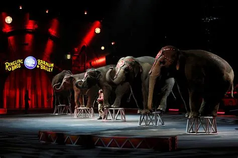 The Greatest Show on Earth! A Cinematic Spectacle Featuring Elephants and Romantic Intrigue!